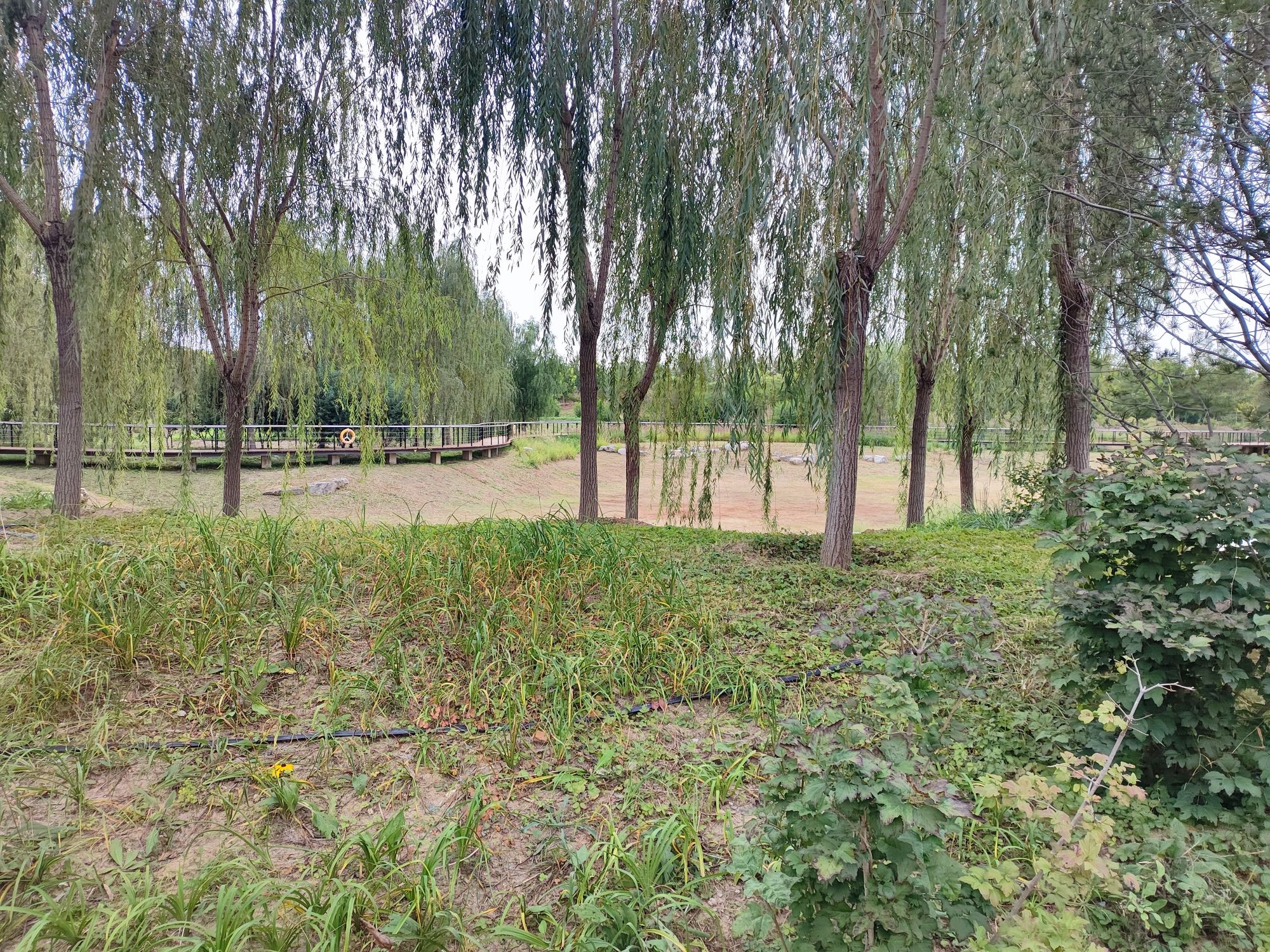 饮鹿池公园旅行图片 3