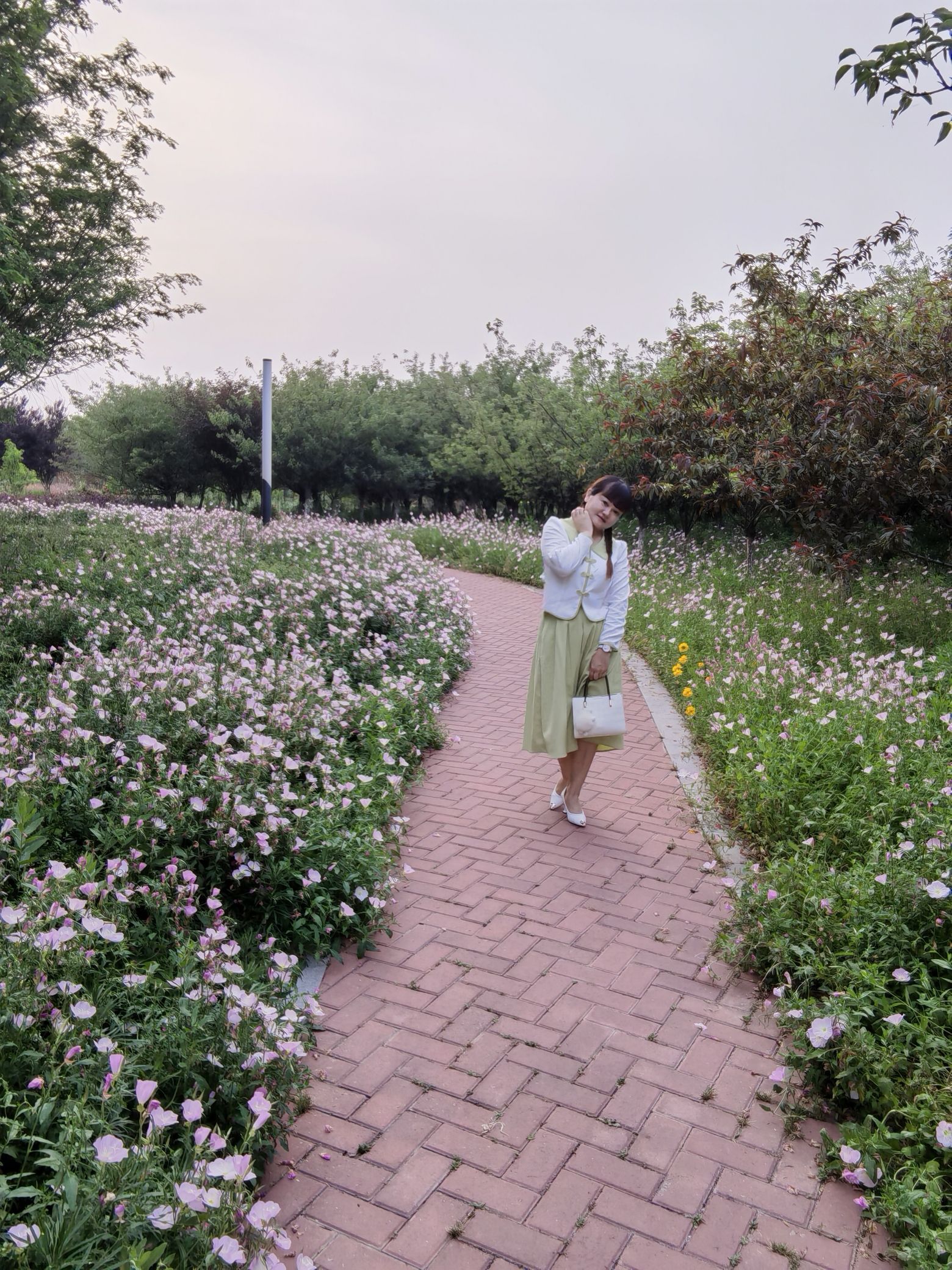 湿地植物园旅行图片 2