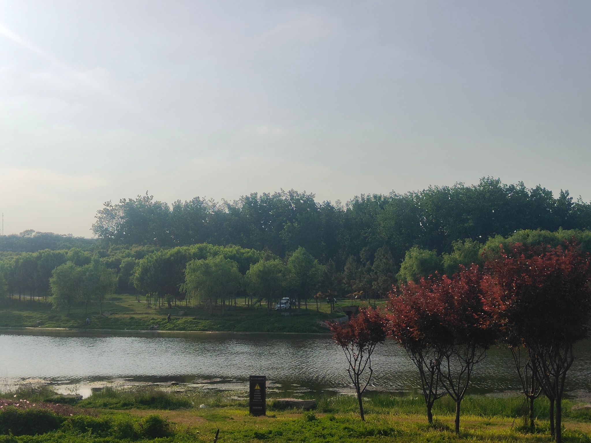 湿地植物园旅行图片 1