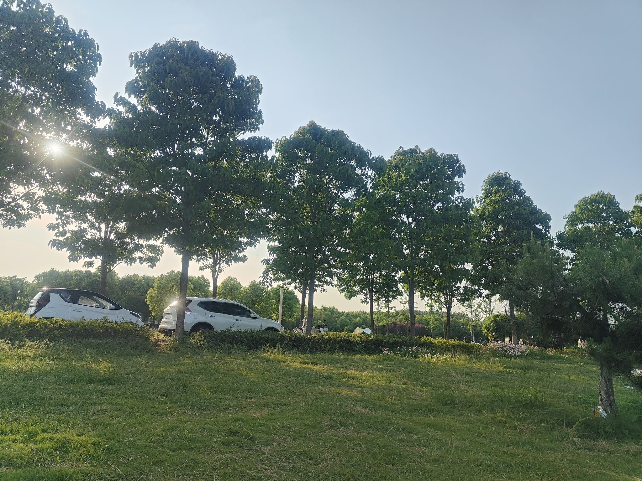 湿地植物园旅行图片 3