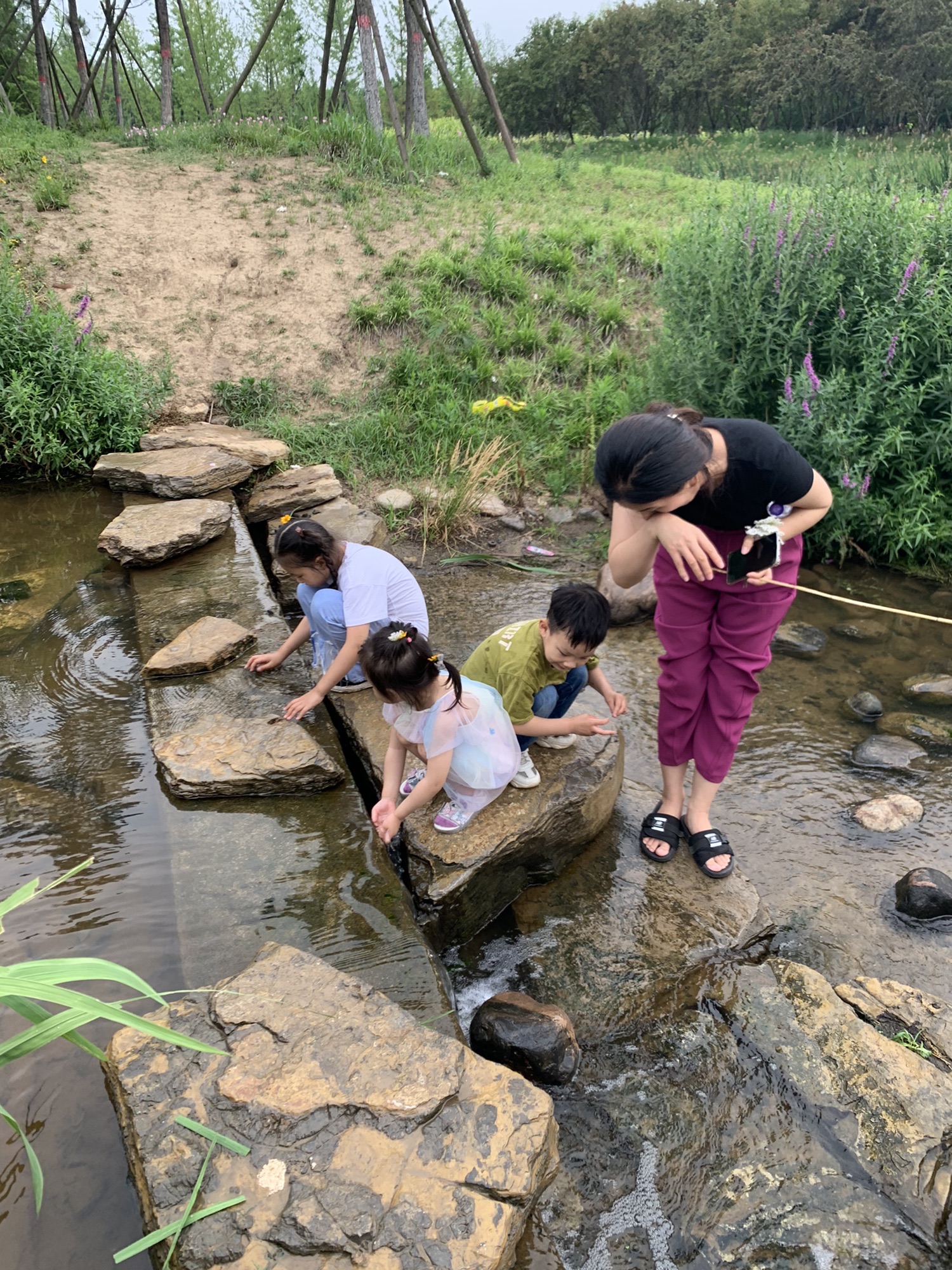 湿地植物园旅行图片 2