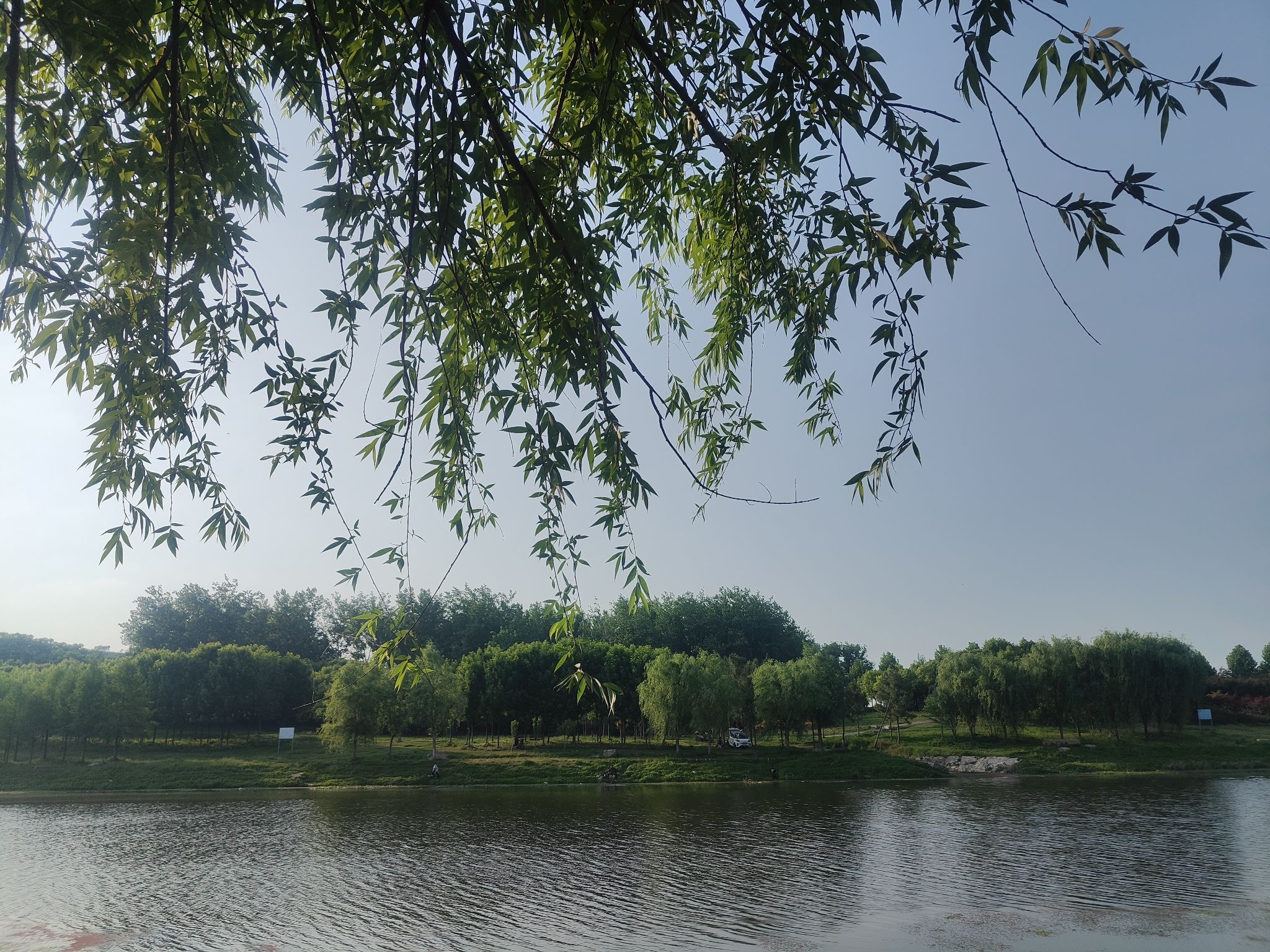 湿地植物园旅行图片 2