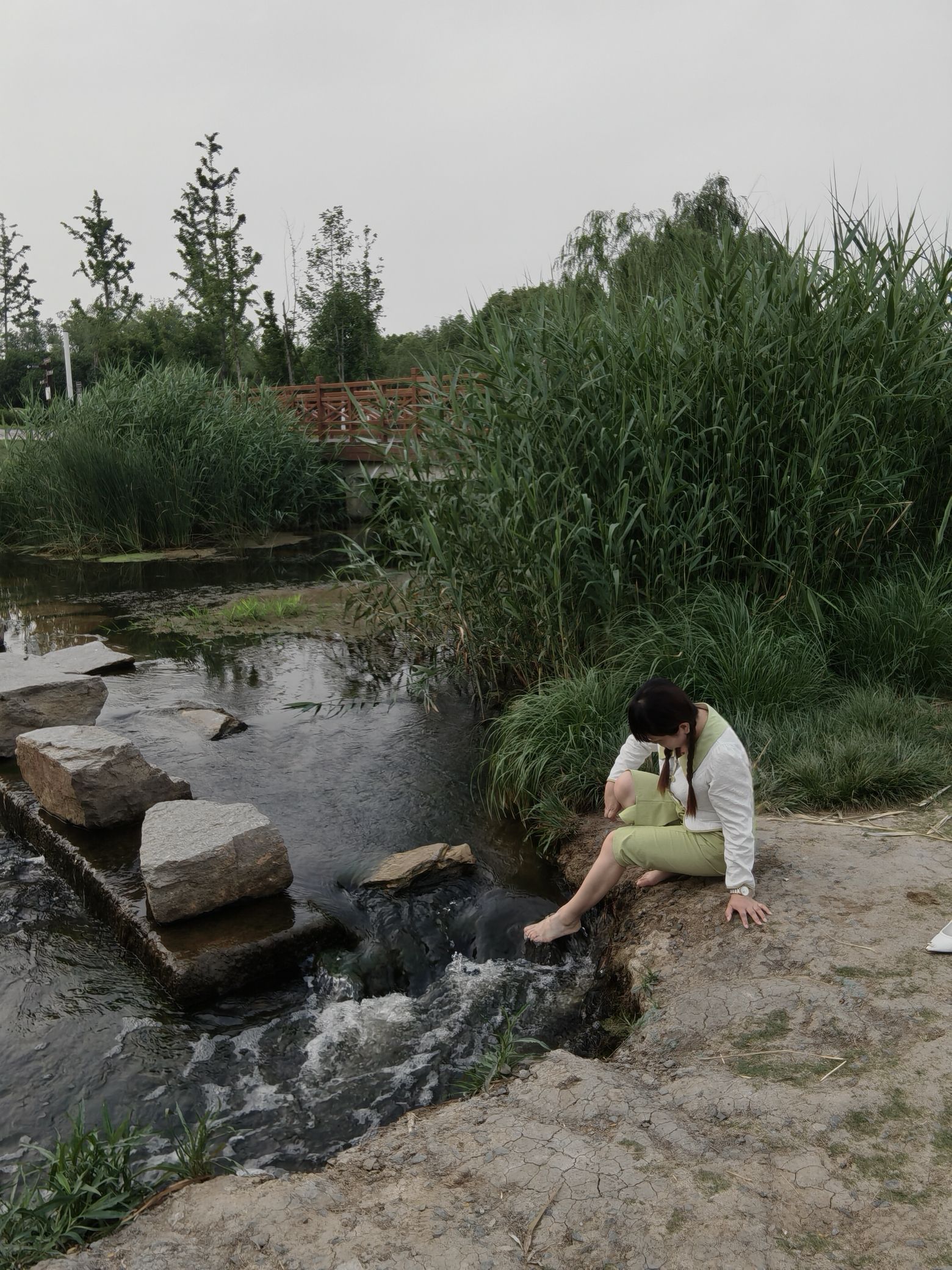 湿地植物园旅行图片 1