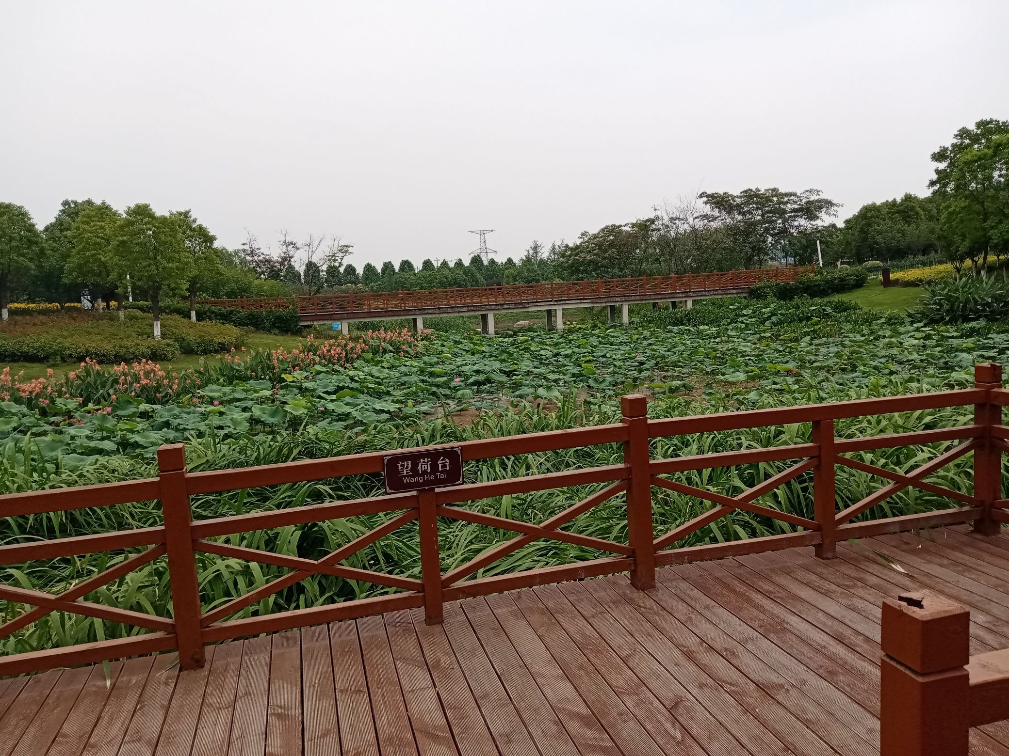 湿地植物园旅行图片 1