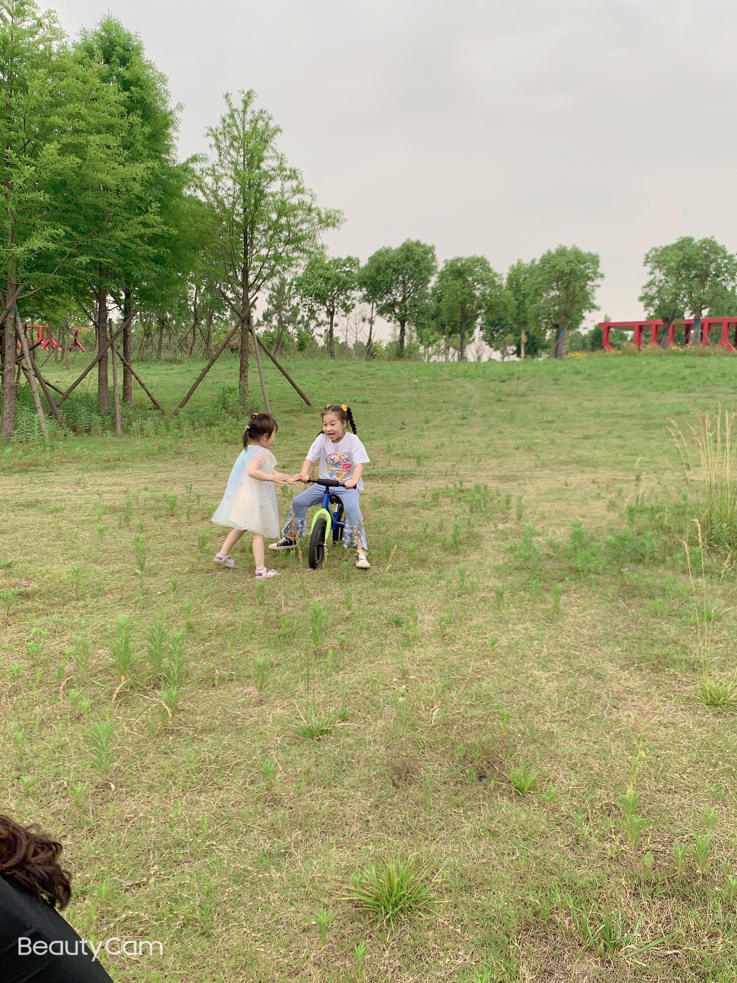 湿地植物园旅行图片 1