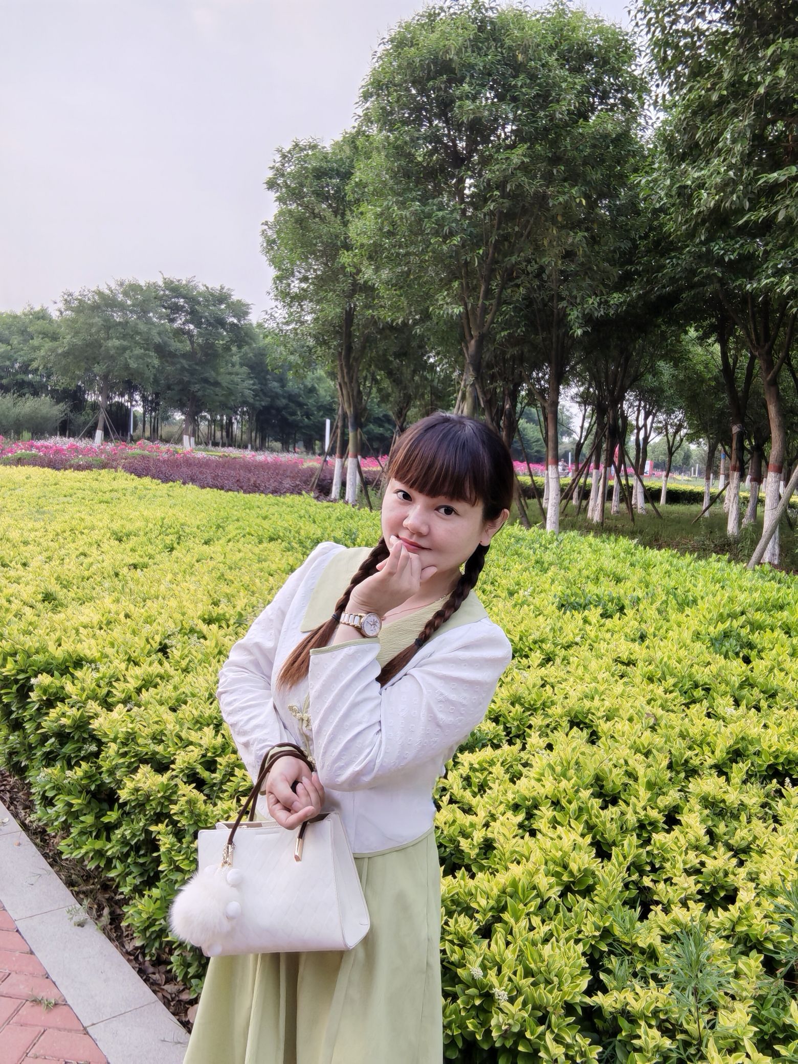 湿地植物园旅行图片 3