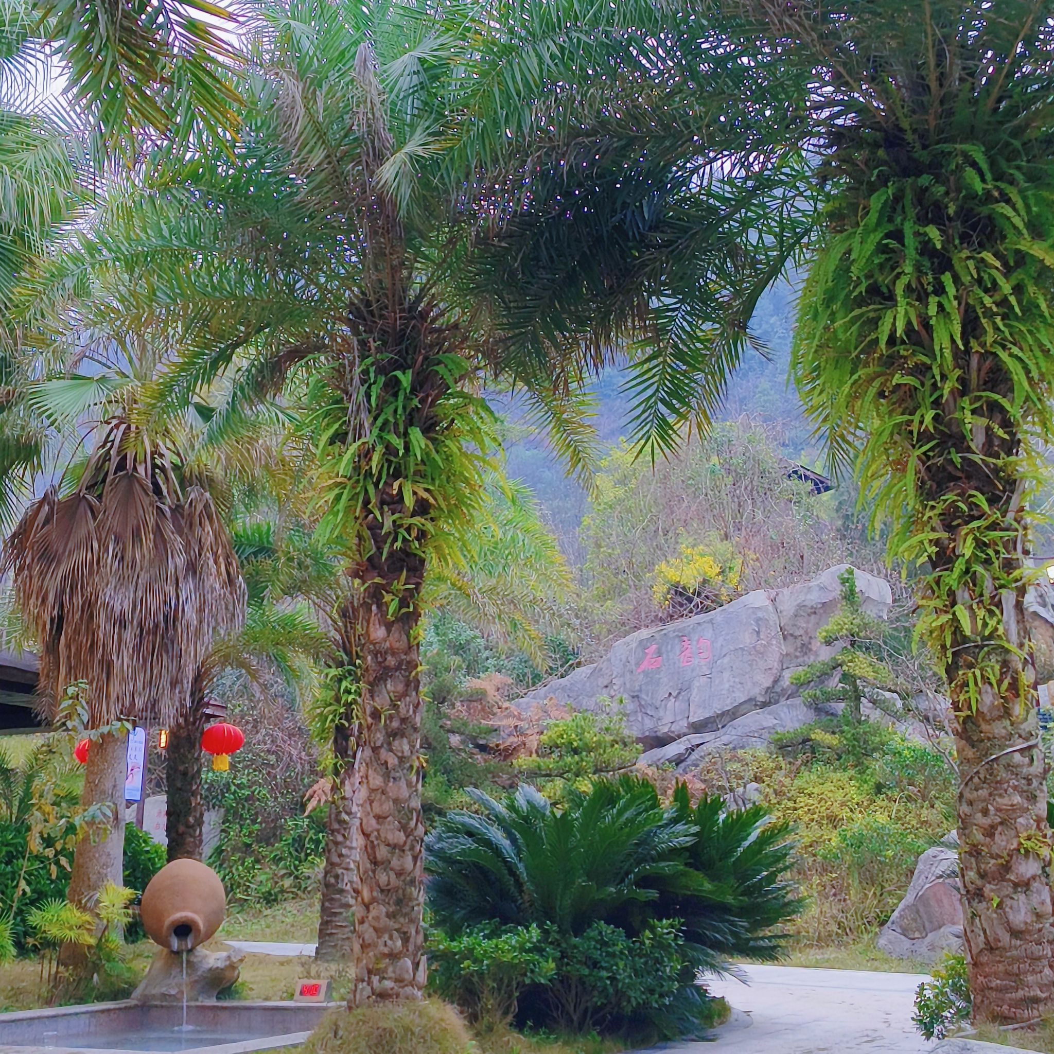 六枝龙井生态温泉度假区旅行图片 2