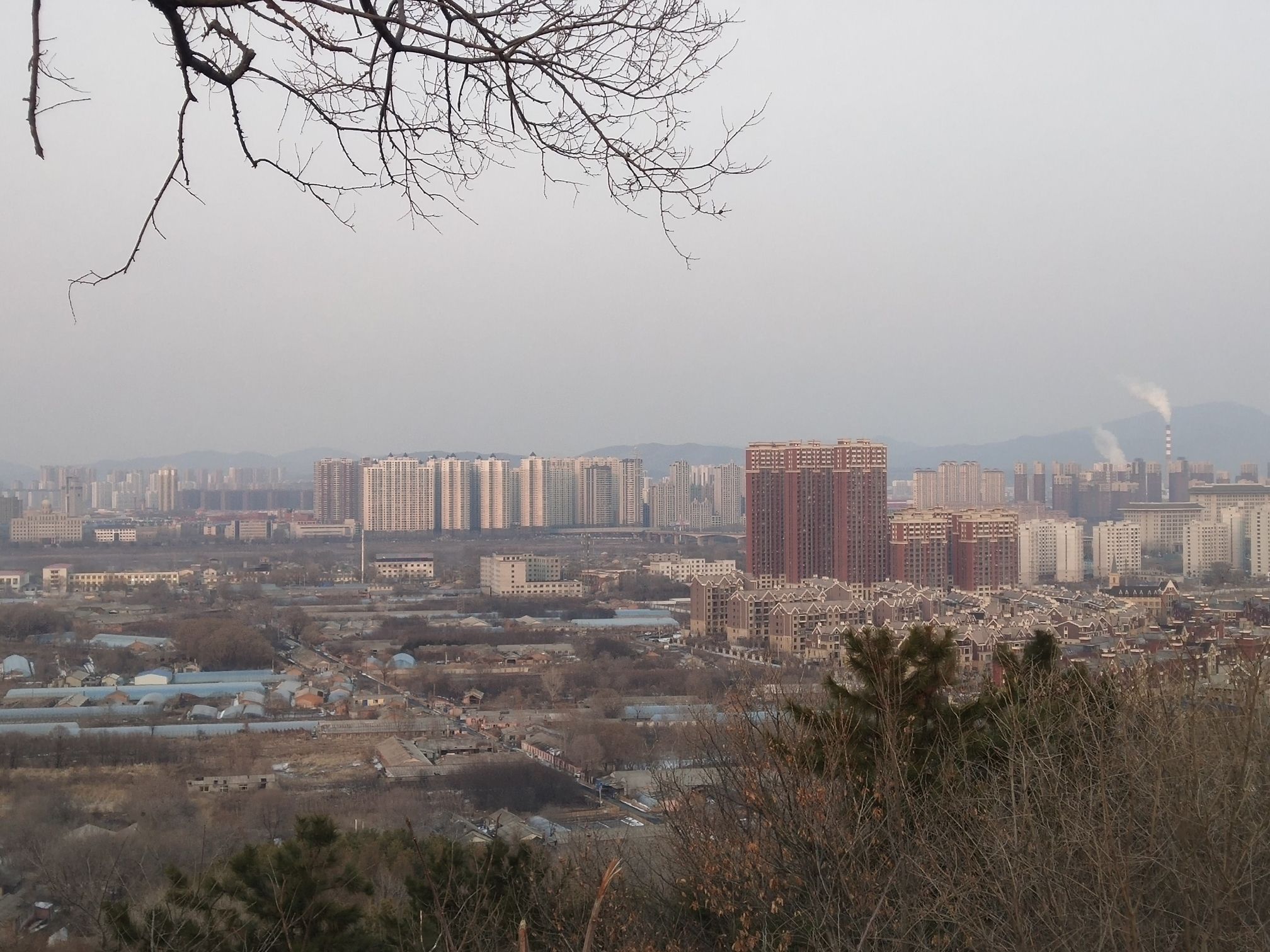 小白山望祭殿遗址旅行图片 2