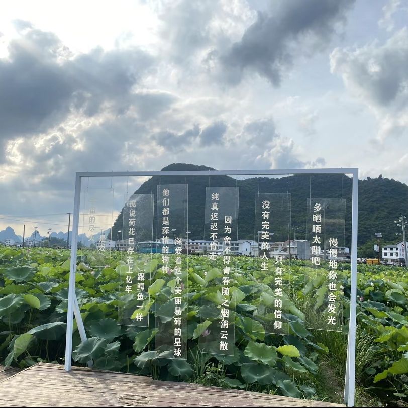 百朋莲花小镇旅行图片 3