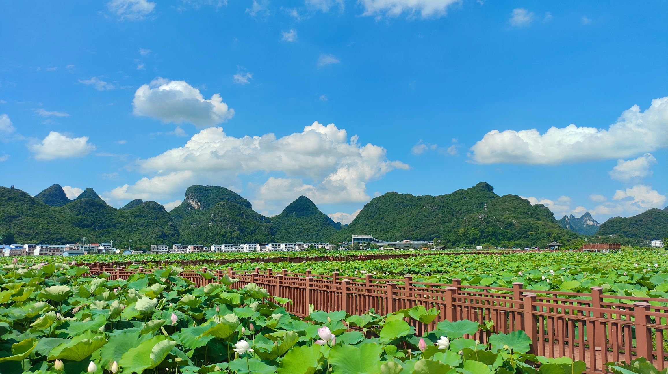 百朋莲花小镇旅行图片 1