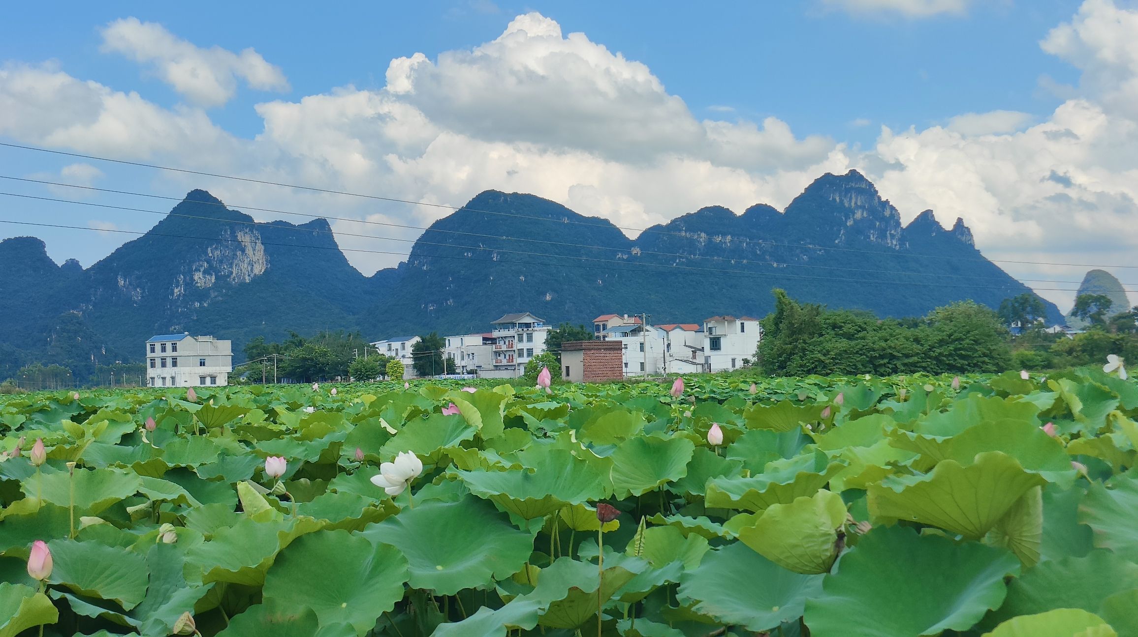 百朋莲花小镇旅行图片 3