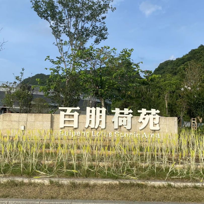 百朋莲花小镇旅行图片 2