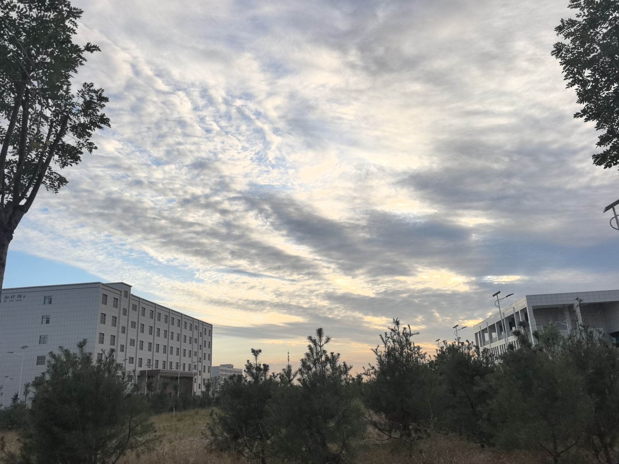 榆林能源科技职业学院