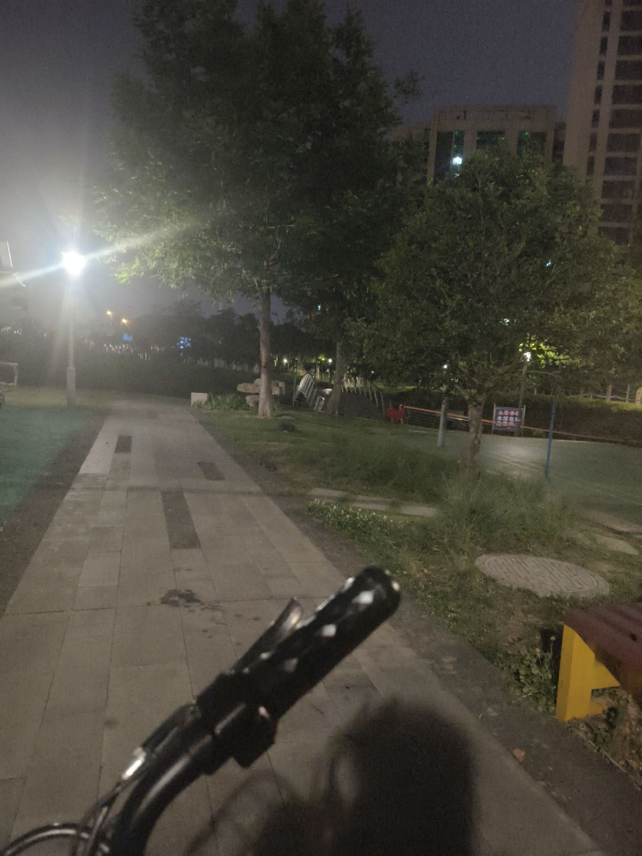 凤凰浜体育公园旅行图片 1