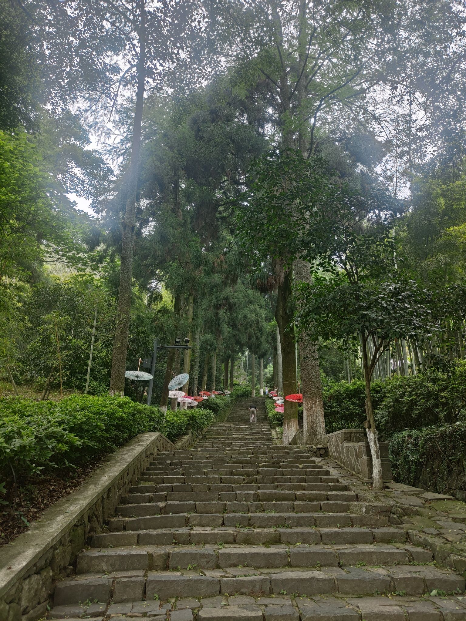 莫干山镇民国风情街旅行图片 1
