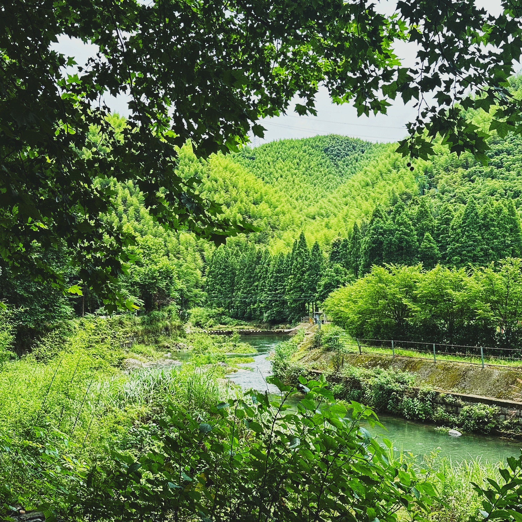莫干山镇民国风情街旅行图片 1