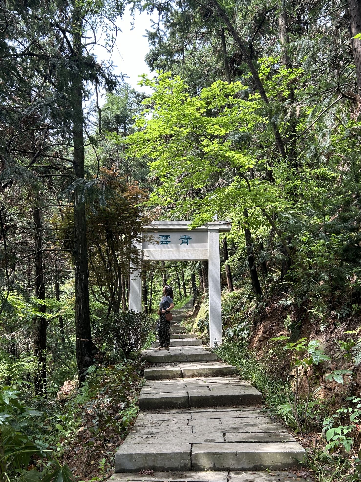 当涂太白森林公园旅行图片 1