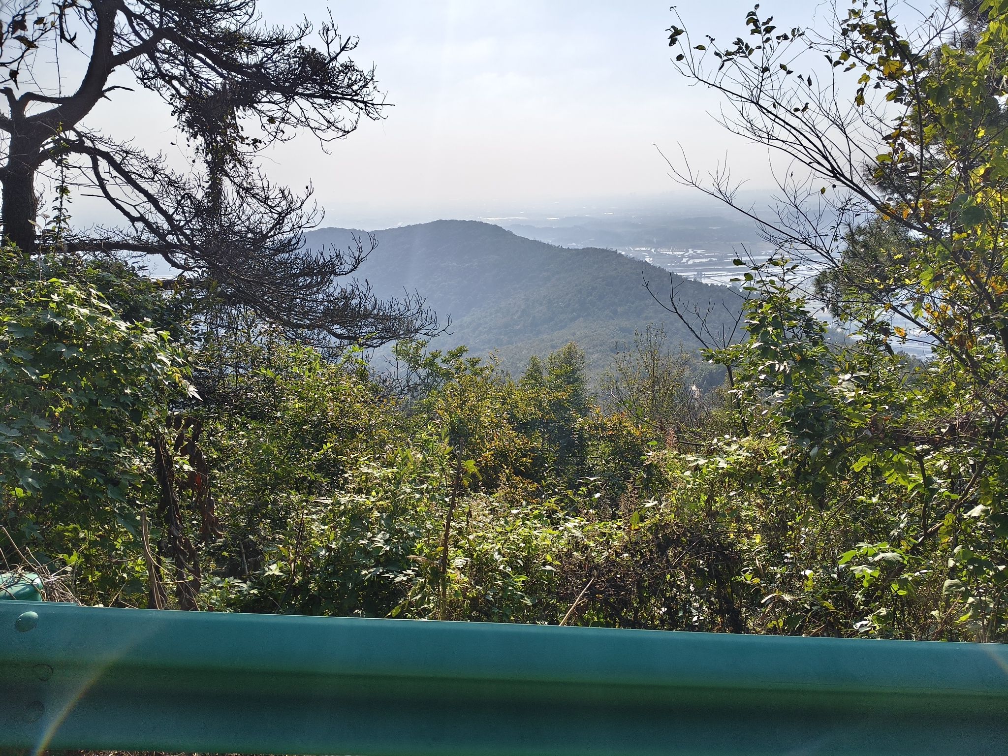 当涂太白森林公园旅行图片 3