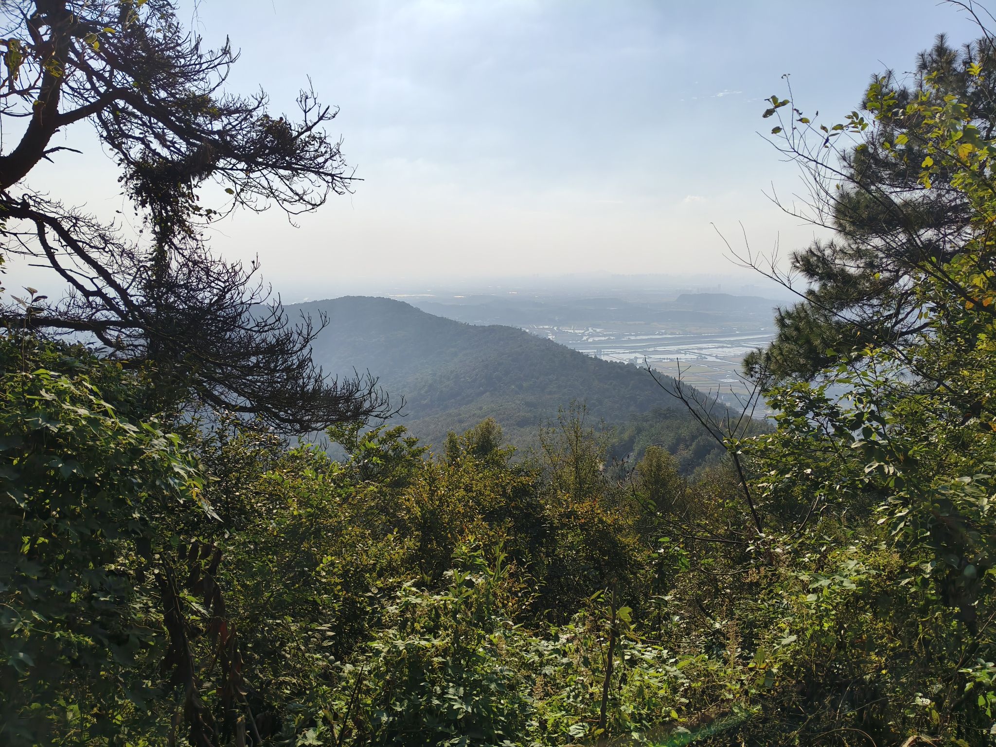 当涂太白森林公园旅行图片 2