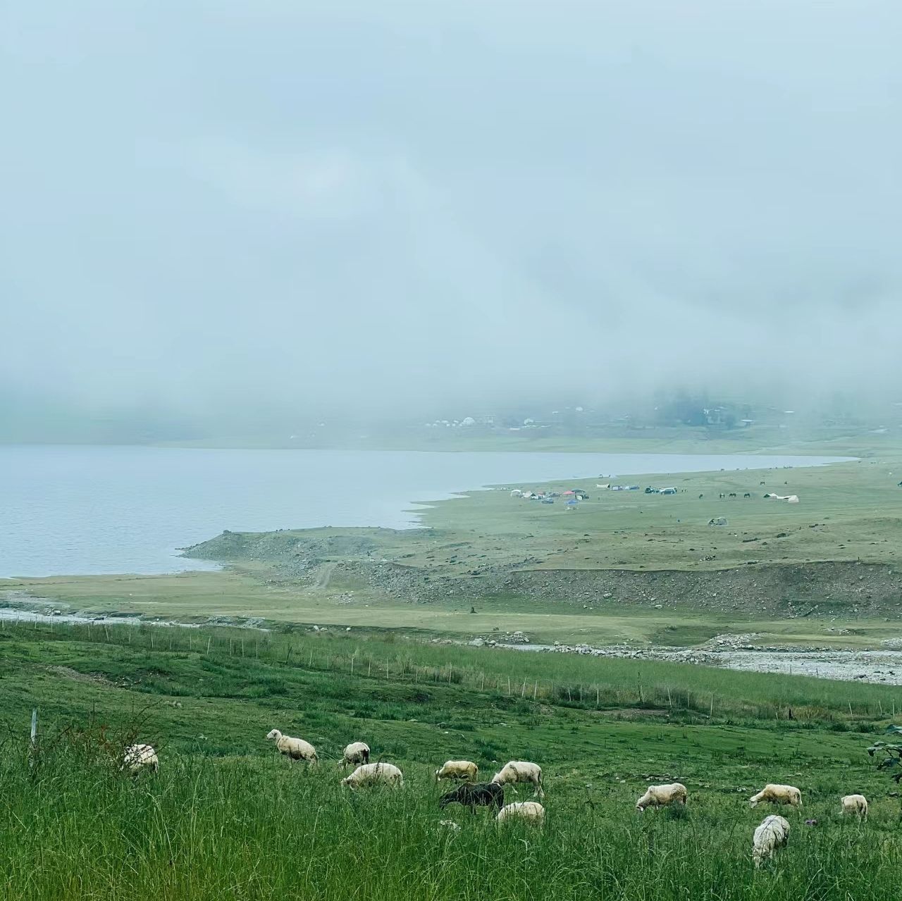 冶勒牧羊谷-房车营地旅行图片 2