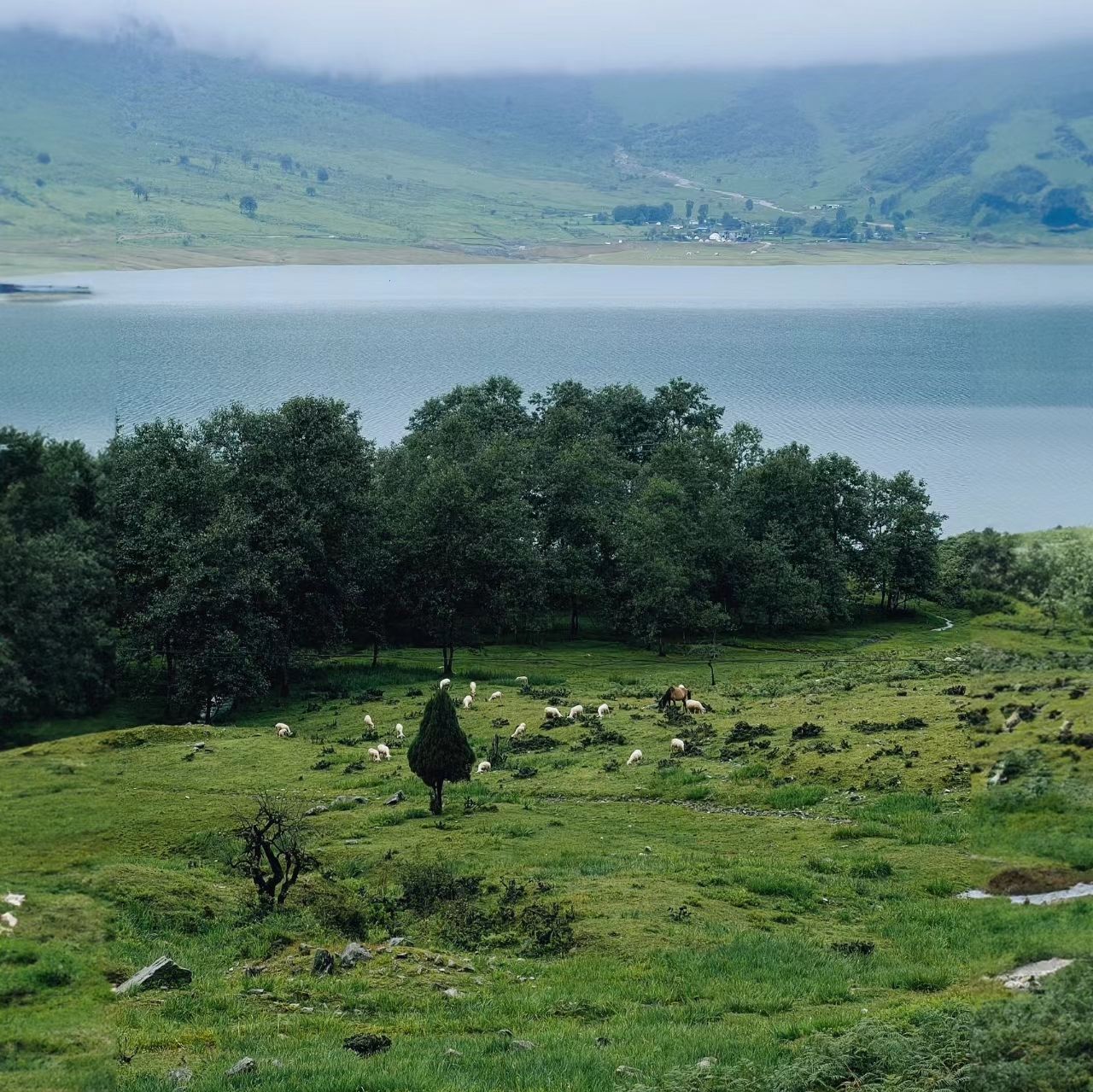 冶勒牧羊谷-房车营地旅行图片 3