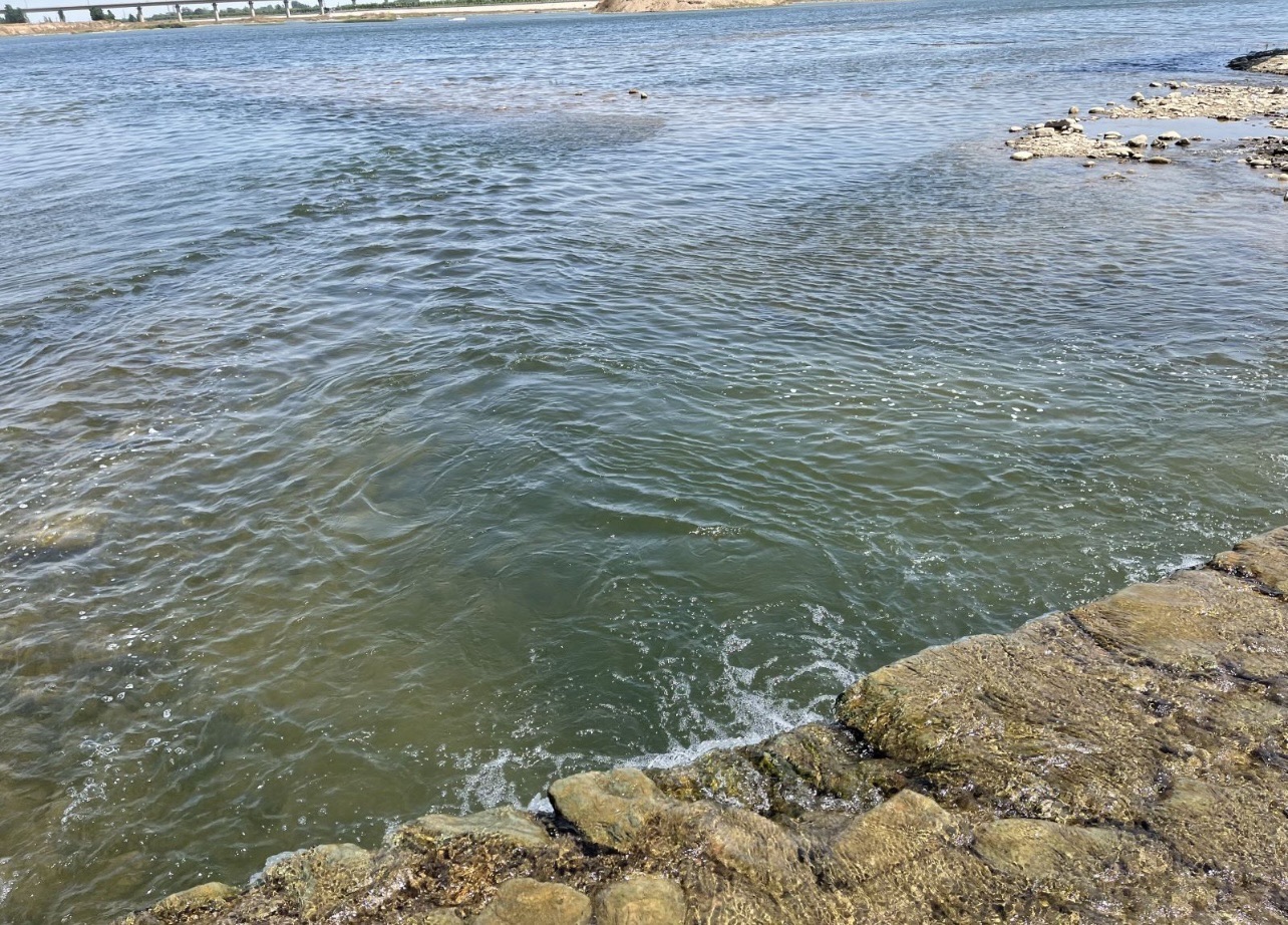元氏槐河湿地旅行图片 3