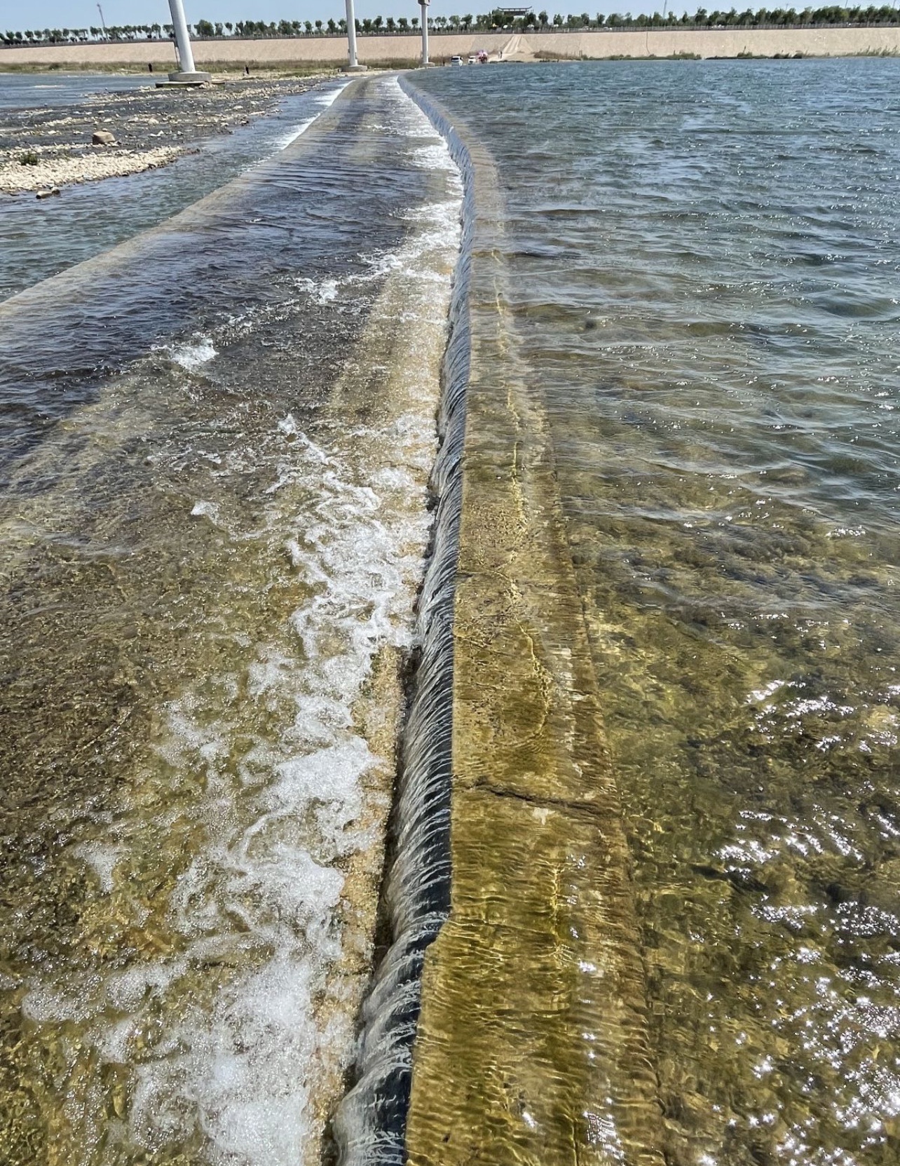 元氏槐河湿地旅行图片 2