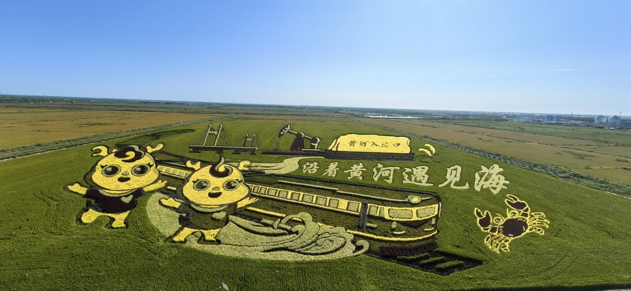 稻田画风景区旅行图片 3