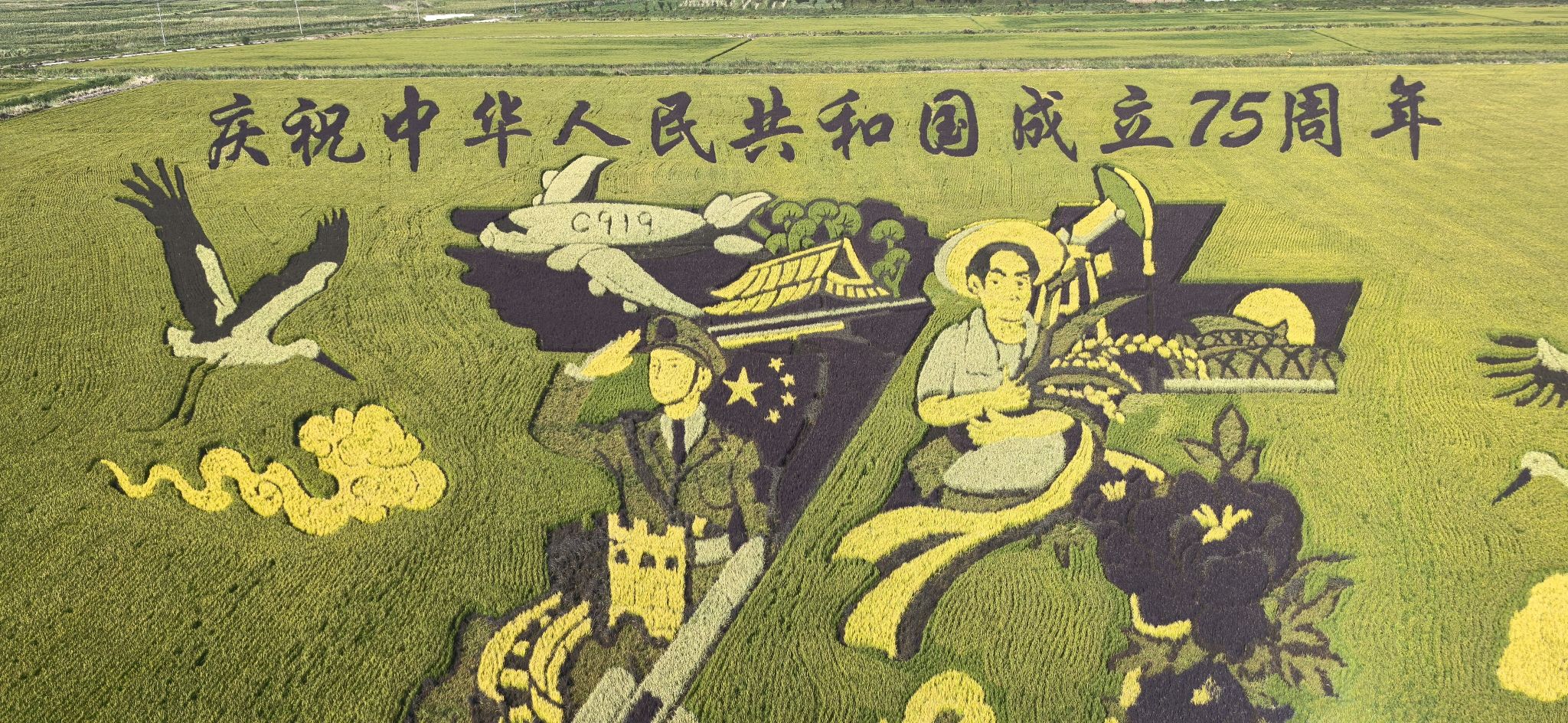 稻田画风景区旅行图片 2