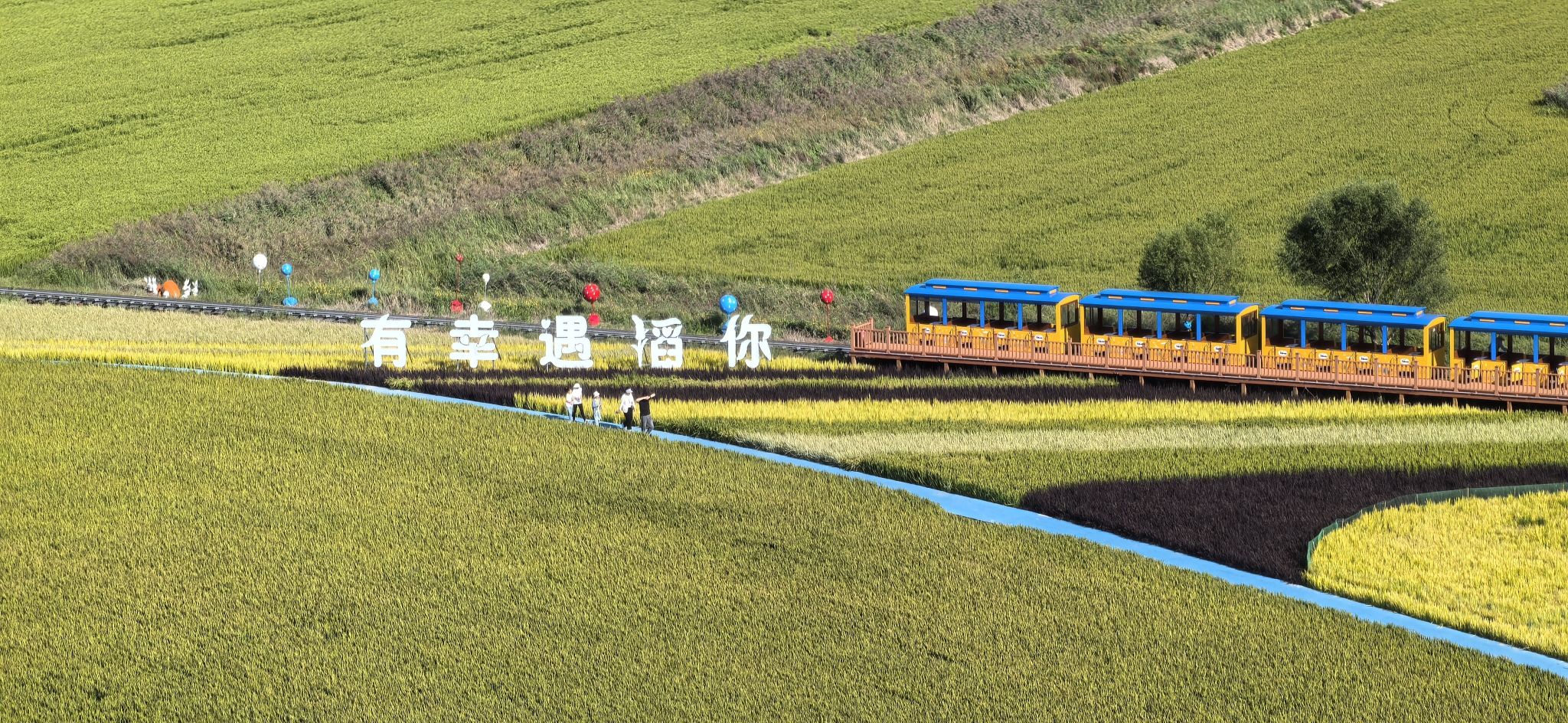 稻田画风景区旅行图片 1