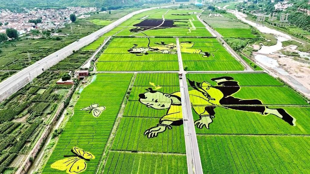 稻田画风景区旅行图片 1