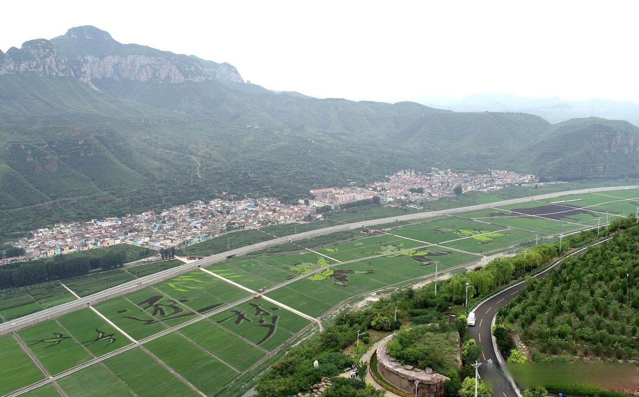 稻田画风景区旅行图片 3