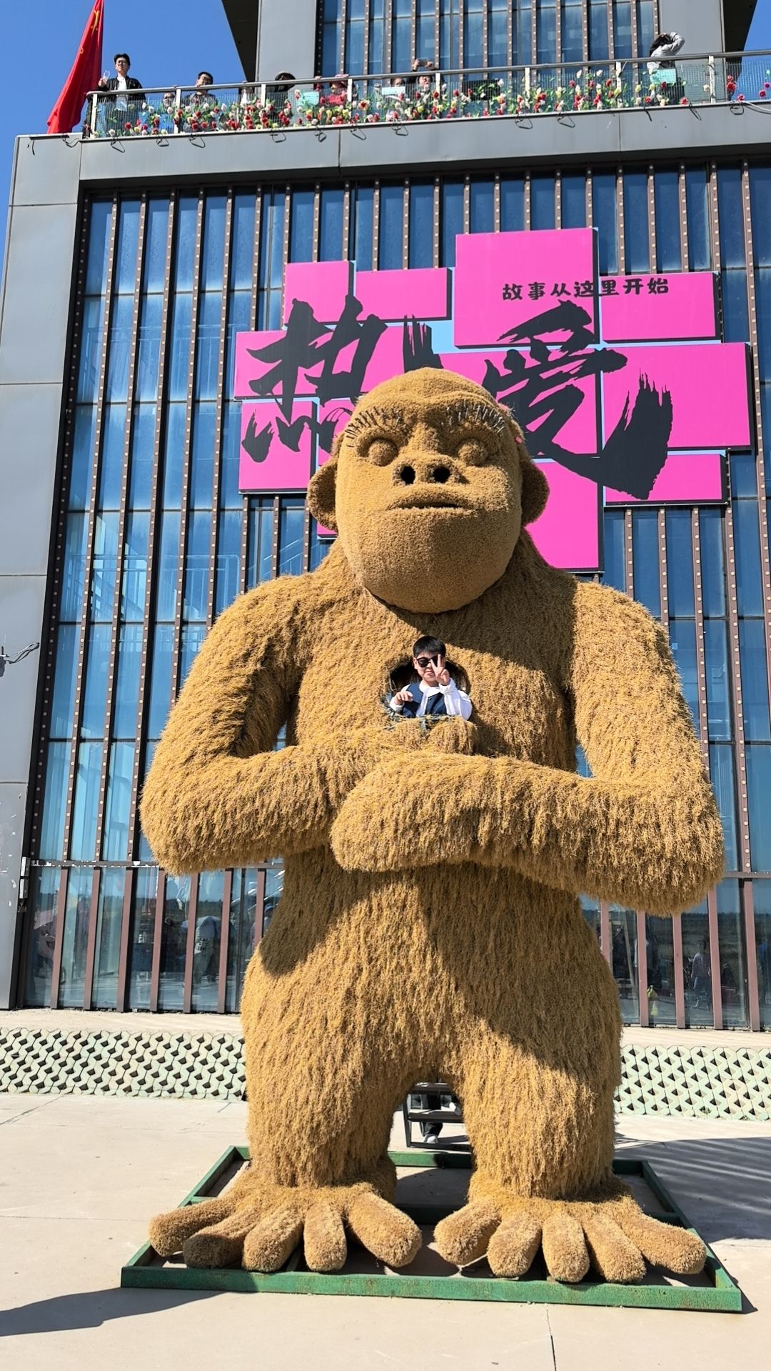 稻田画风景区旅行图片 3