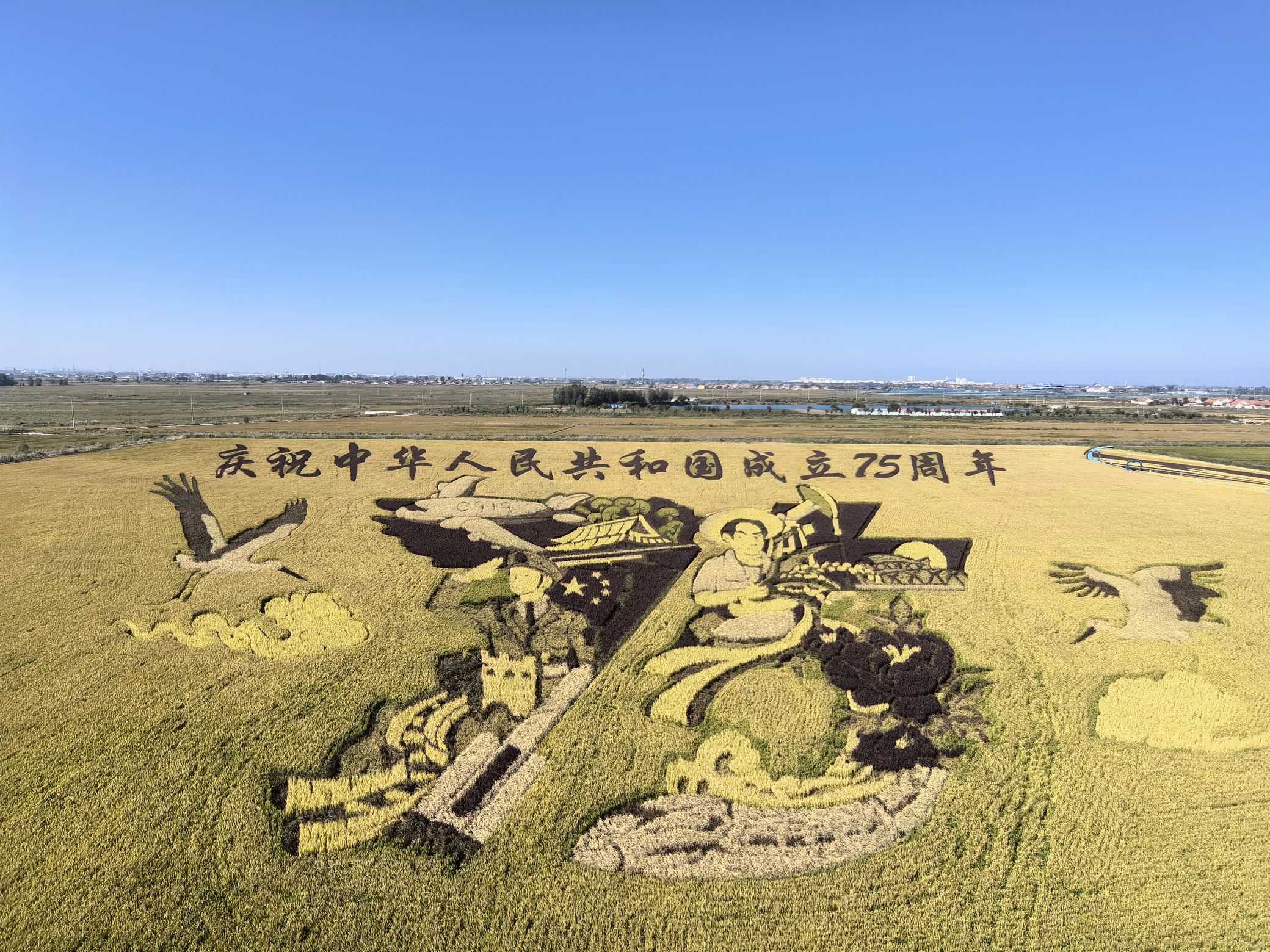 稻田画风景区旅行图片 1