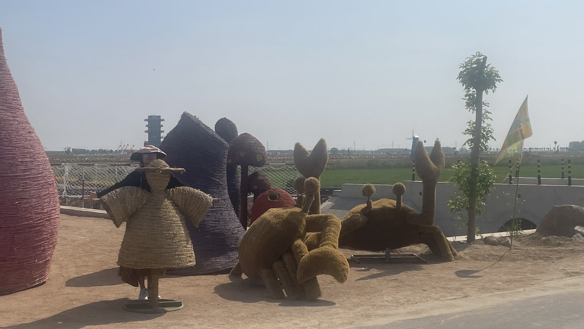 稻田画风景区旅行图片 2