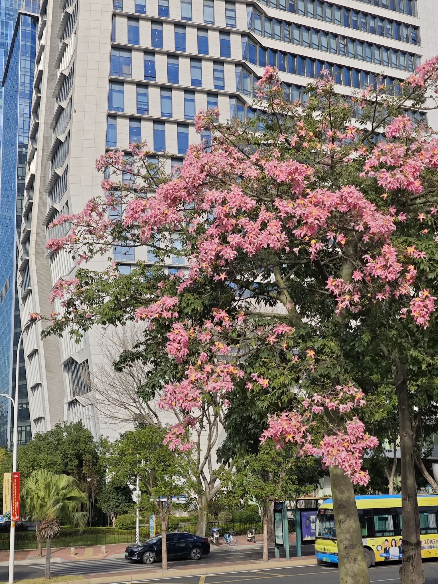 坑涧幽谷旅行图片 1