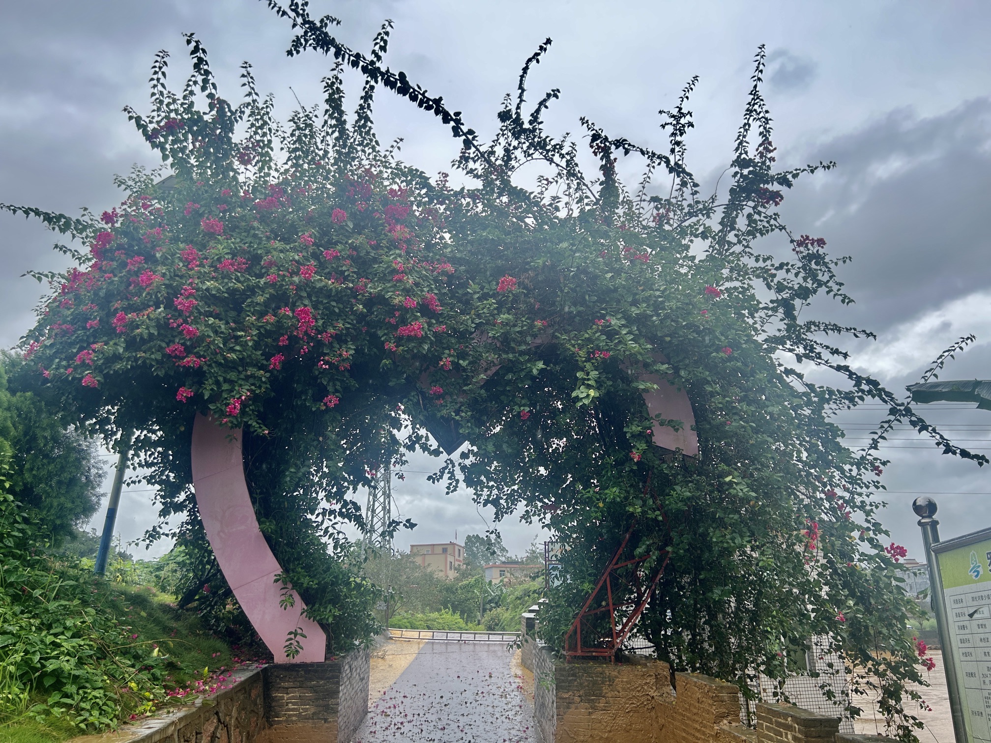 牛角坝新农村景点旅行图片 1