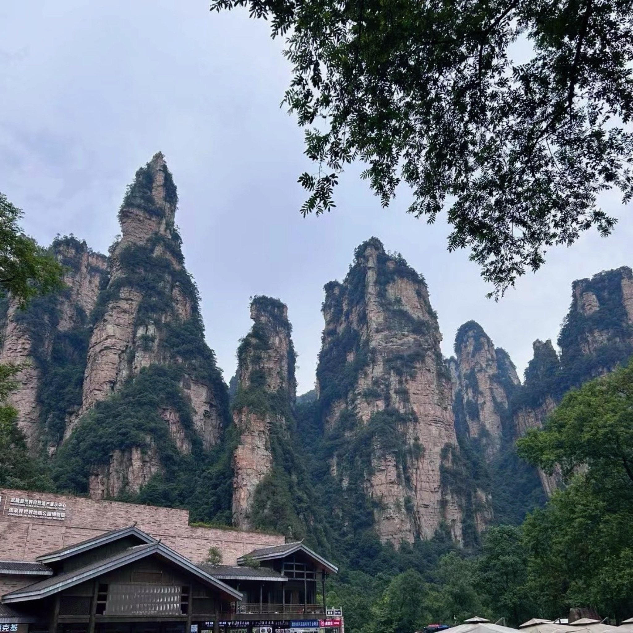 张家界世界地质公园博物馆