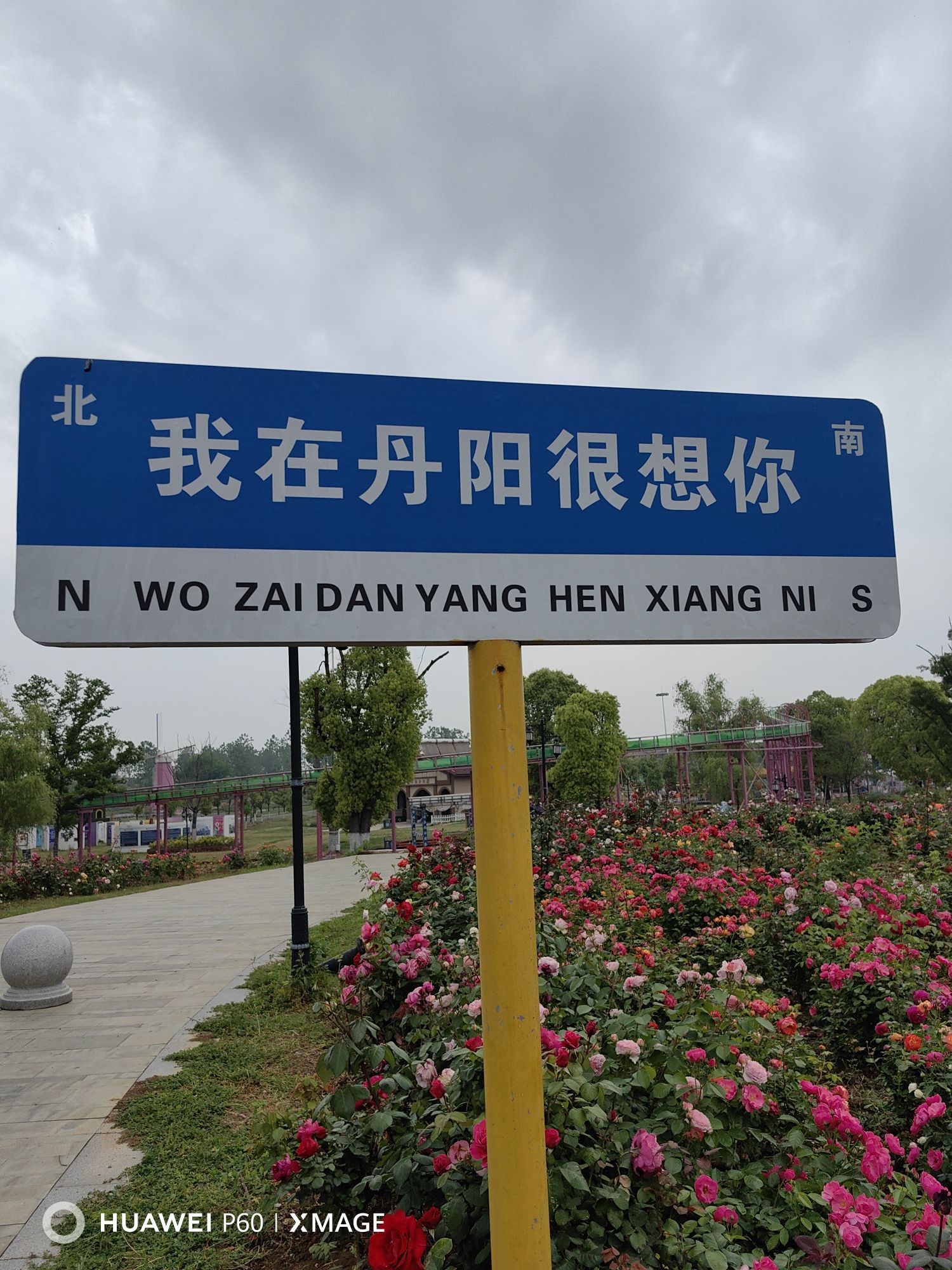 香海琴枫浪漫庄园旅行图片 3