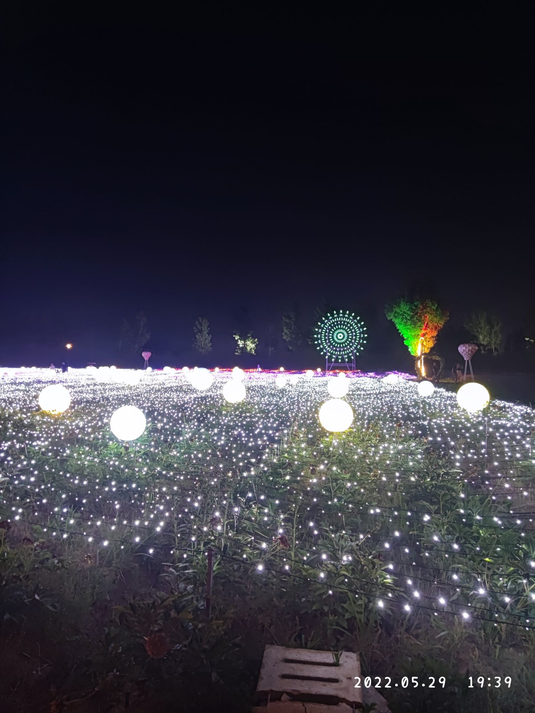 香海琴枫浪漫庄园旅行图片 1