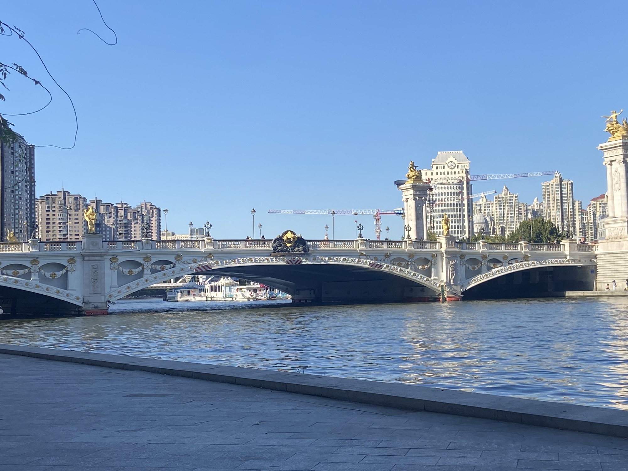 海河健康步道旅行图片 1