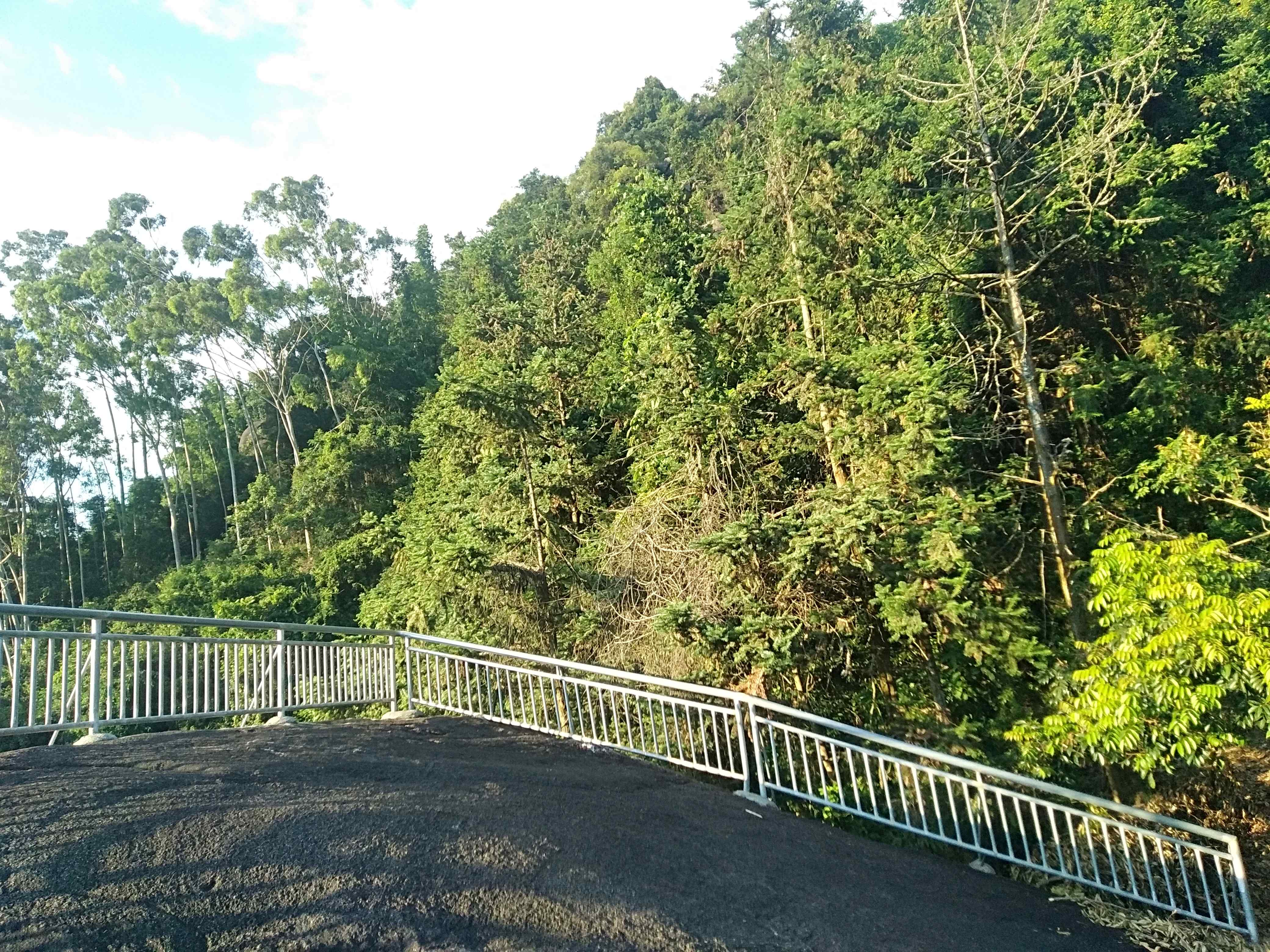 古猿人景区旅行图片 2