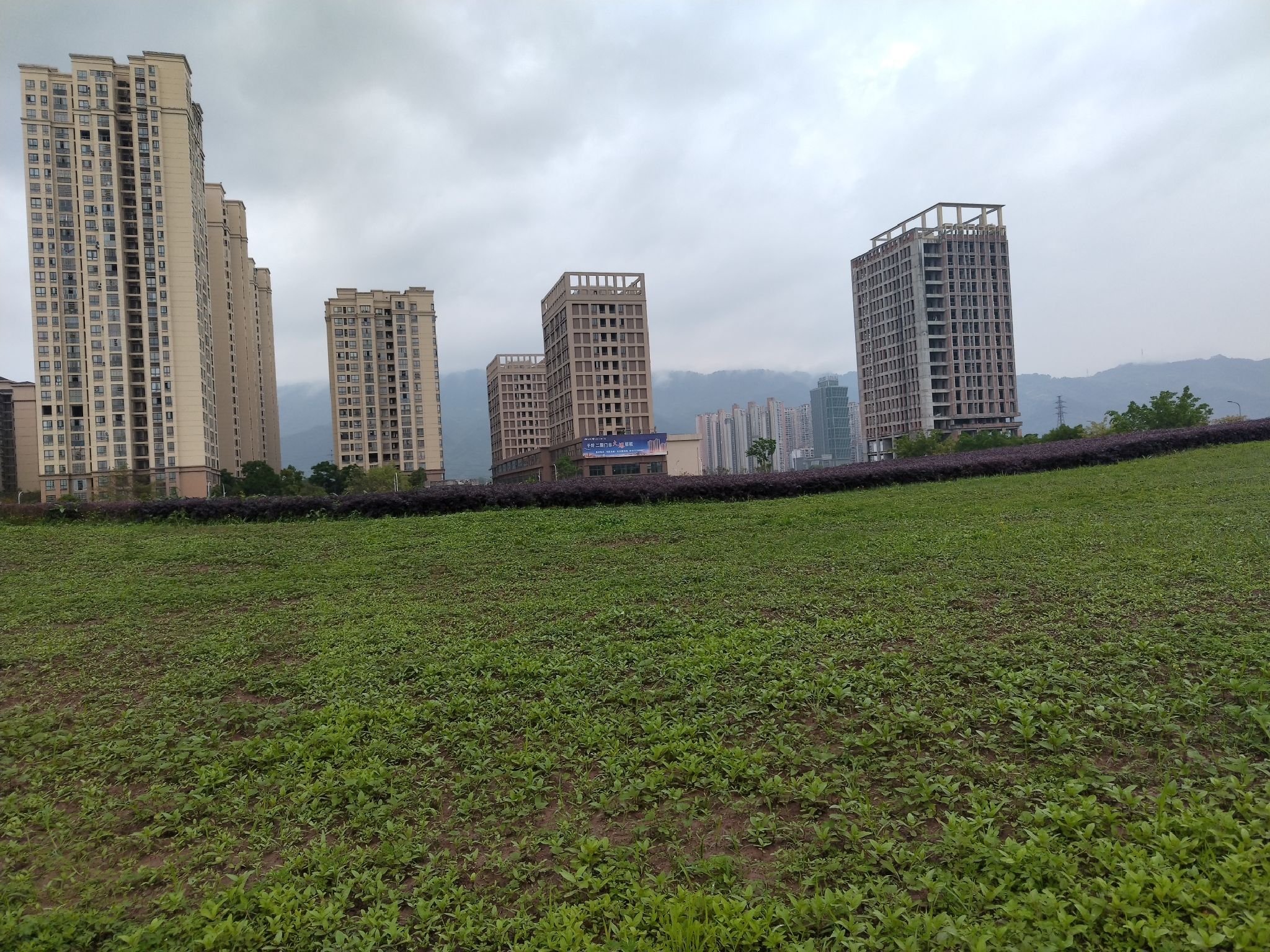 中央城市花海公园旅行图片 1