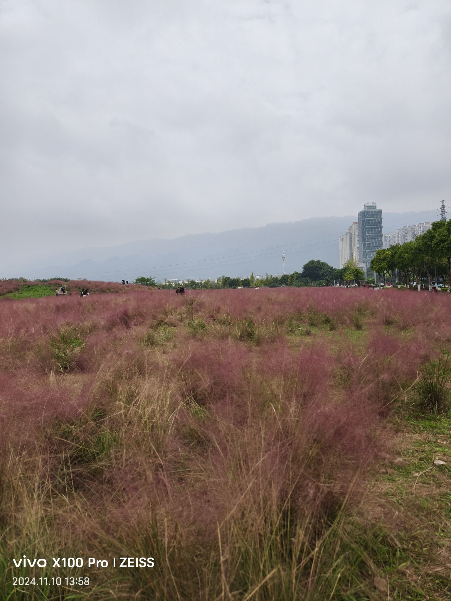 中央城市花海公园旅行图片 1