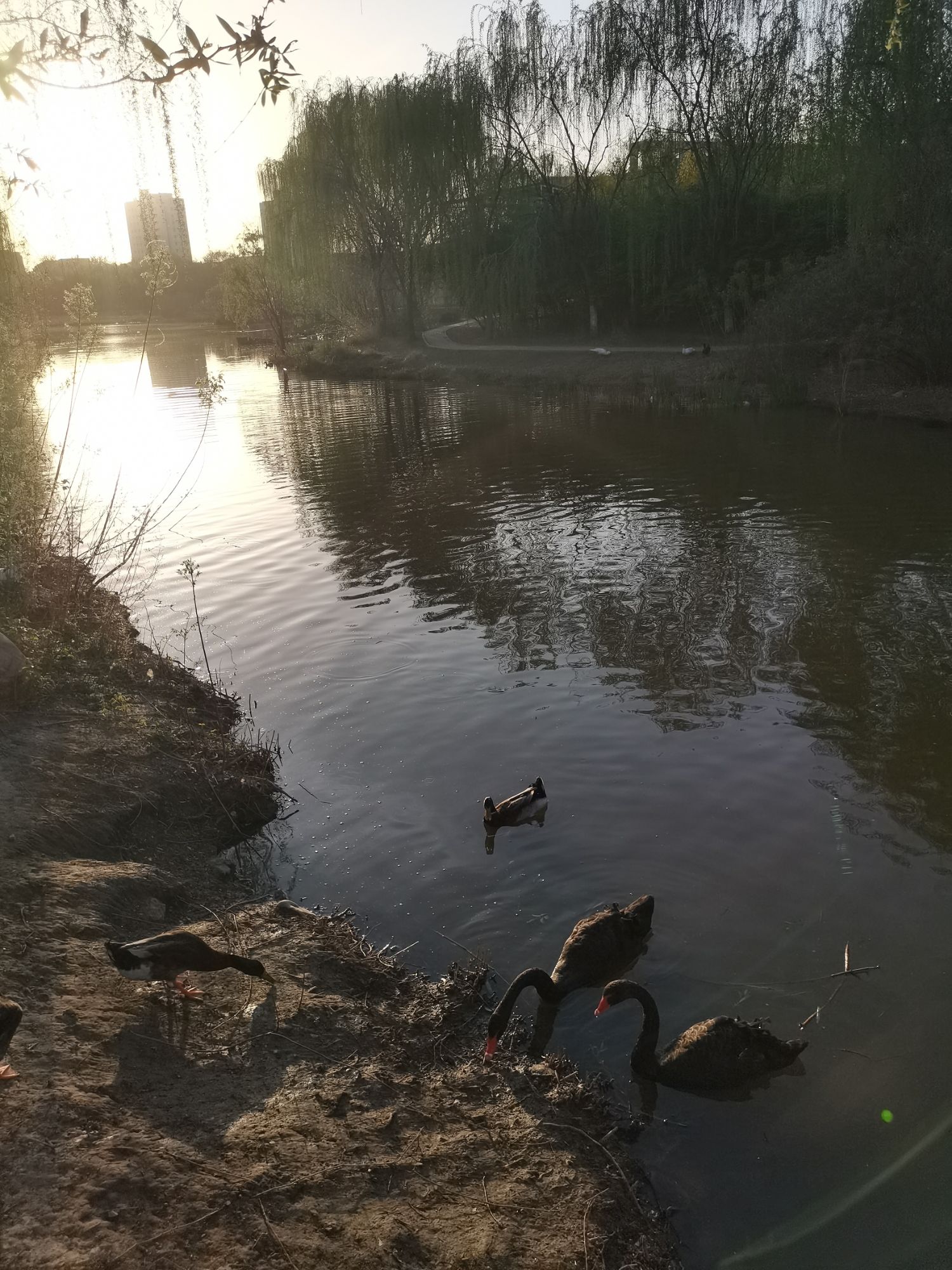 金钥匙湖旅行图片 3