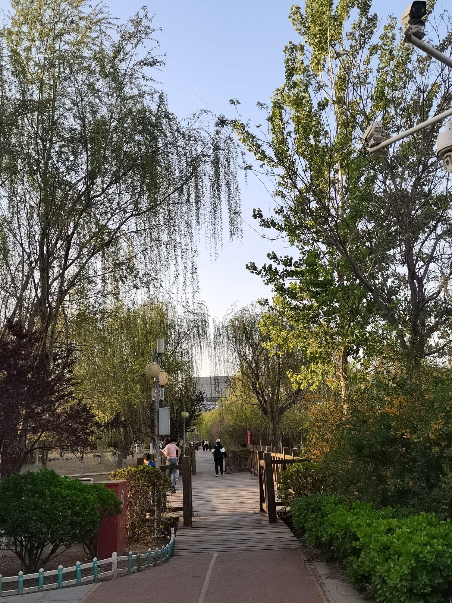 金钥匙湖旅行图片 2