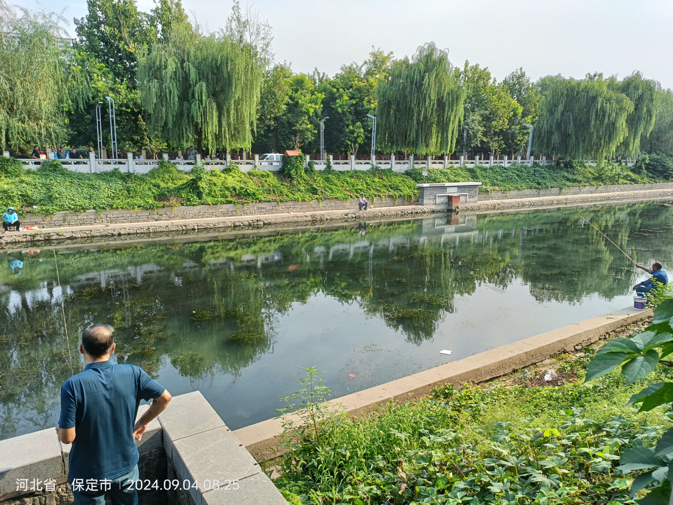 安国市滨河公园旅行图片 1