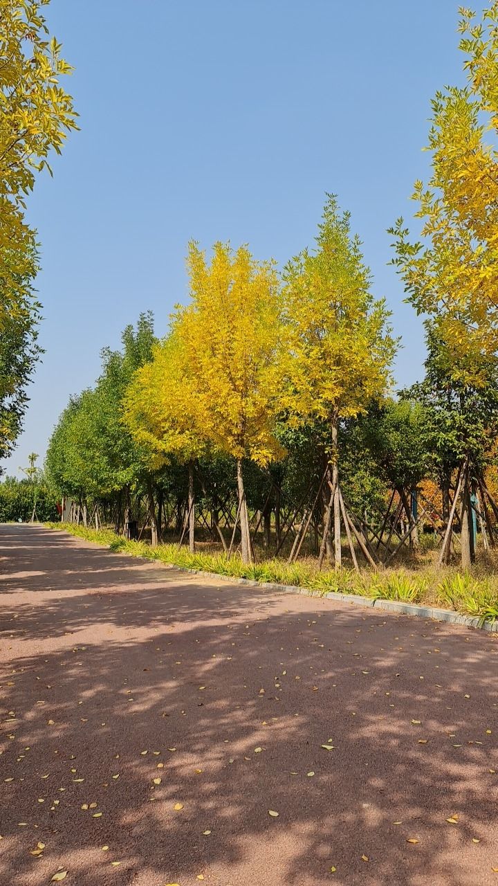 金水河植物园旅行图片 1