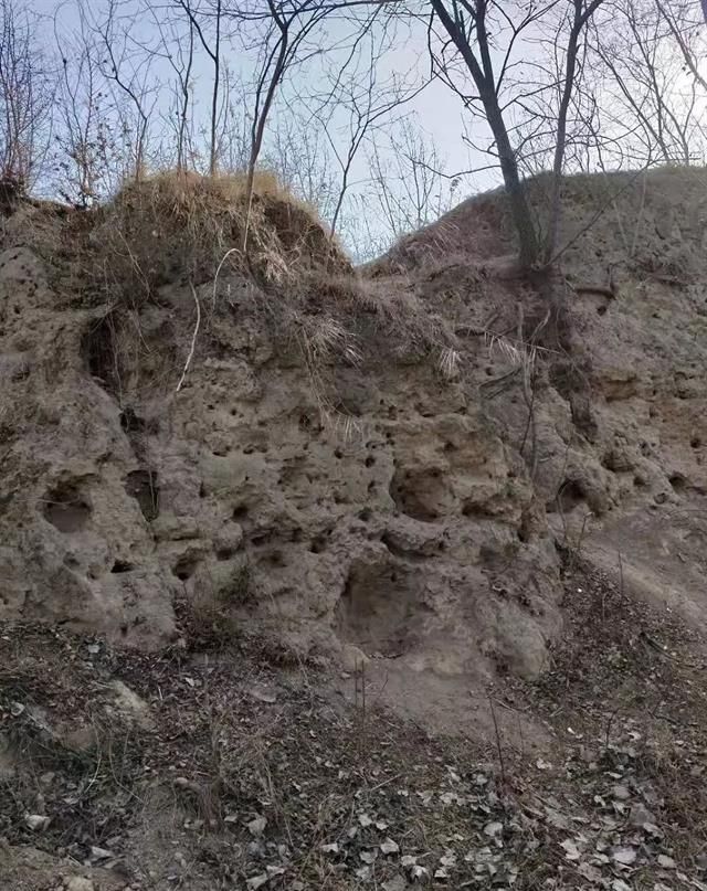 滑县古县城城墙遗址旅行图片 3