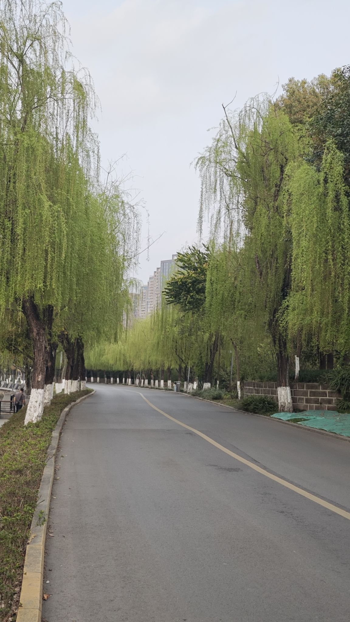 府河北公园旅行图片 3
